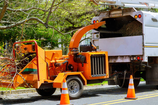 Best Firewood Processing and Delivery  in Long Beach, CA